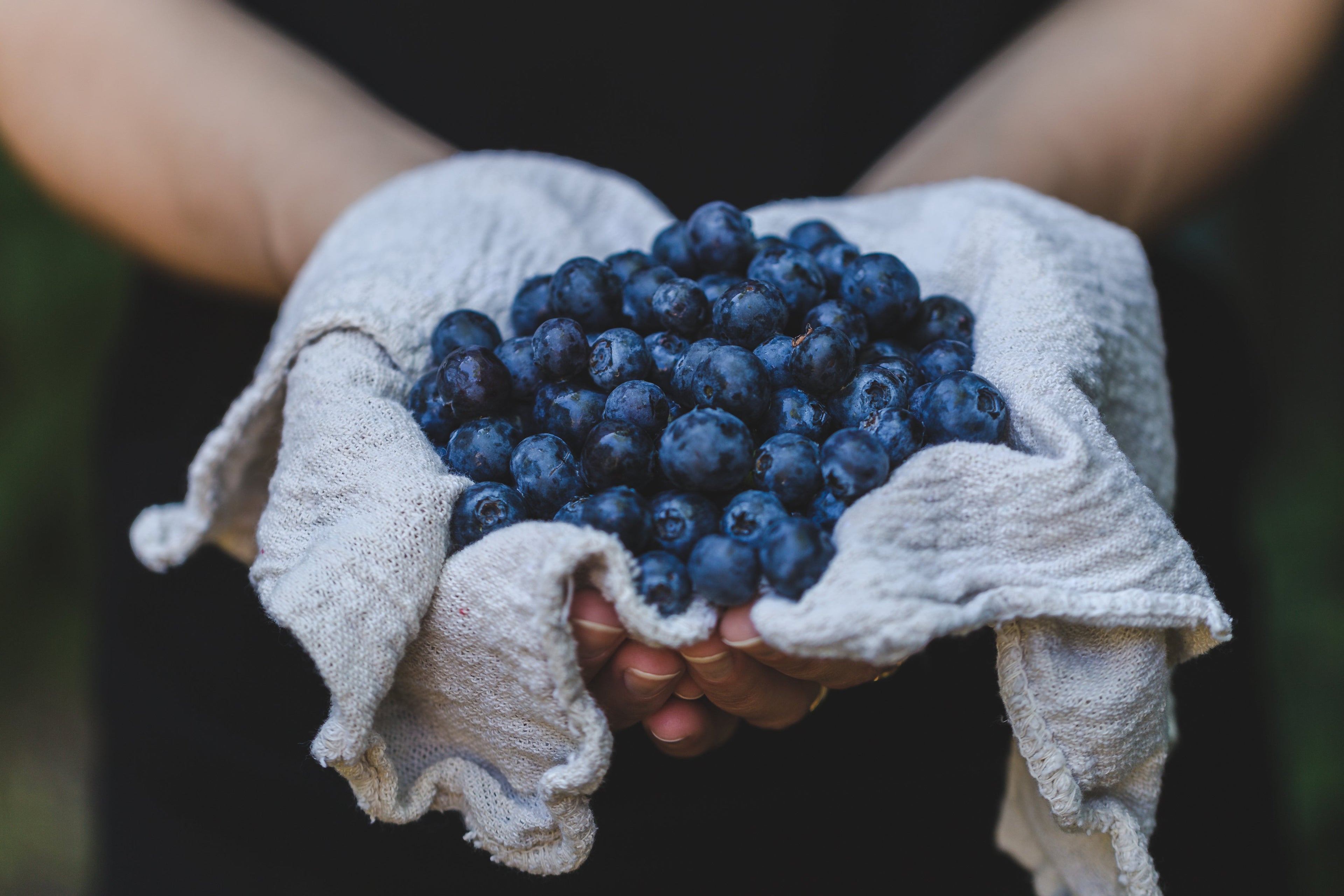 Nourishing Your Skin From Within: Foods That Support Skin Health